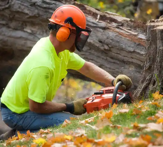 tree services Piney Green